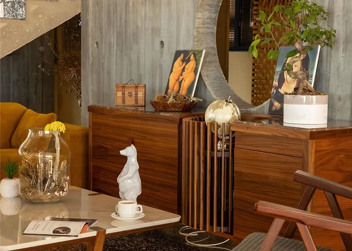 Ibis Styles Napoleon מלון אז'אקסיו